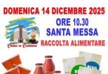 RACCOLTA ALIMENTARE Domenica 14 Notizie dalla Parrocchia