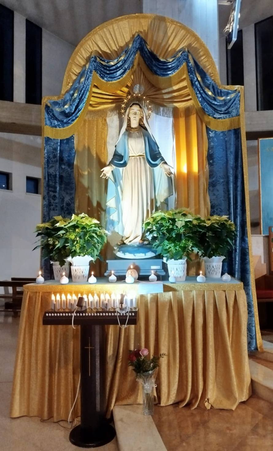 Santa Messa con Novena all’Immacolata Concezione: Nono e ultimo giorno.