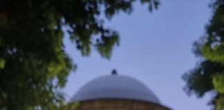 Notizie dalla Parrocchia Notizie dalla Parrocchia
